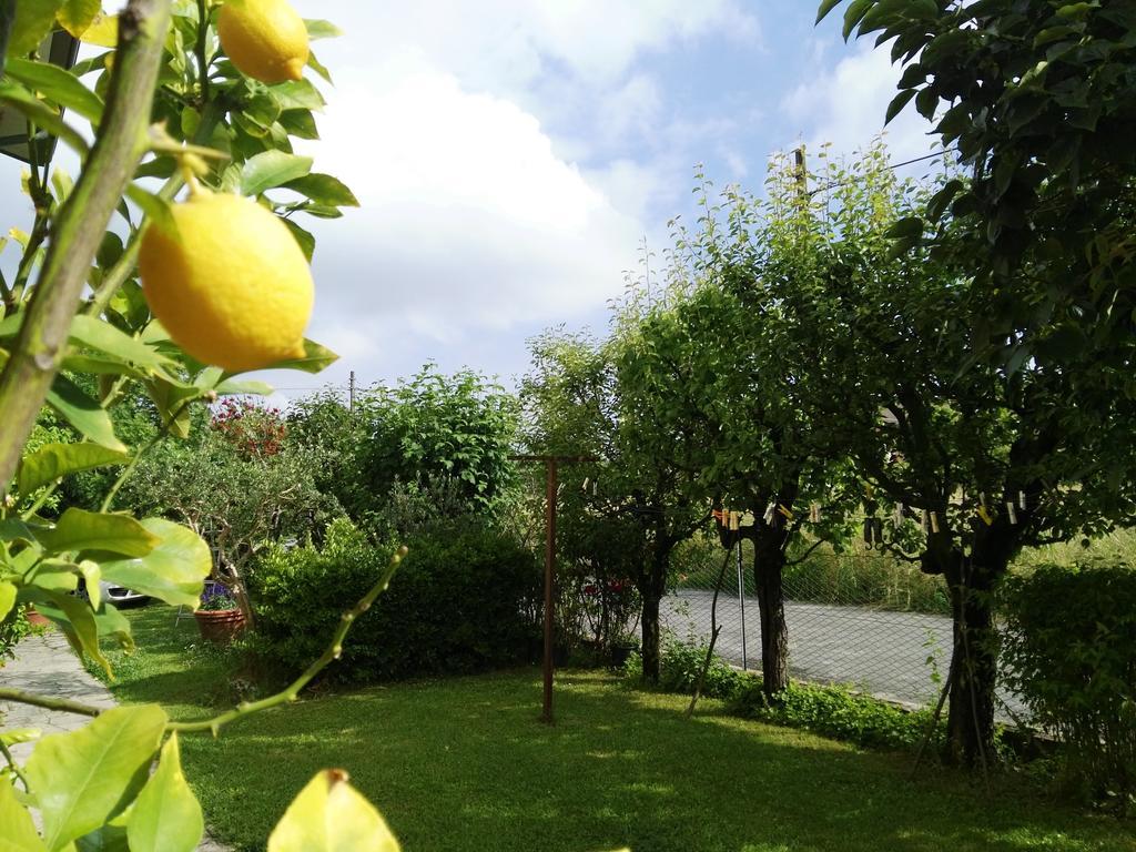 Casa Mite Apartment ปิเอตราซานตา ภายนอก รูปภาพ